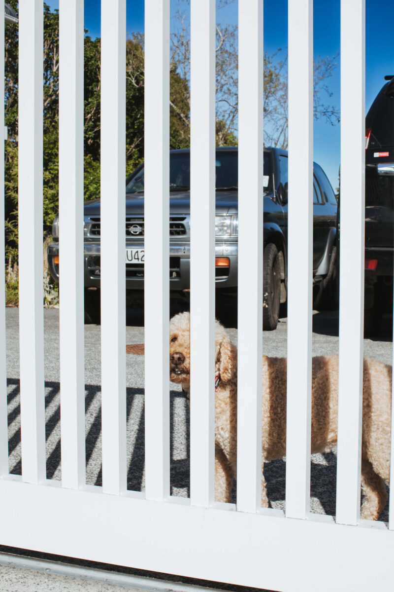 Gates_tub_classicii_02