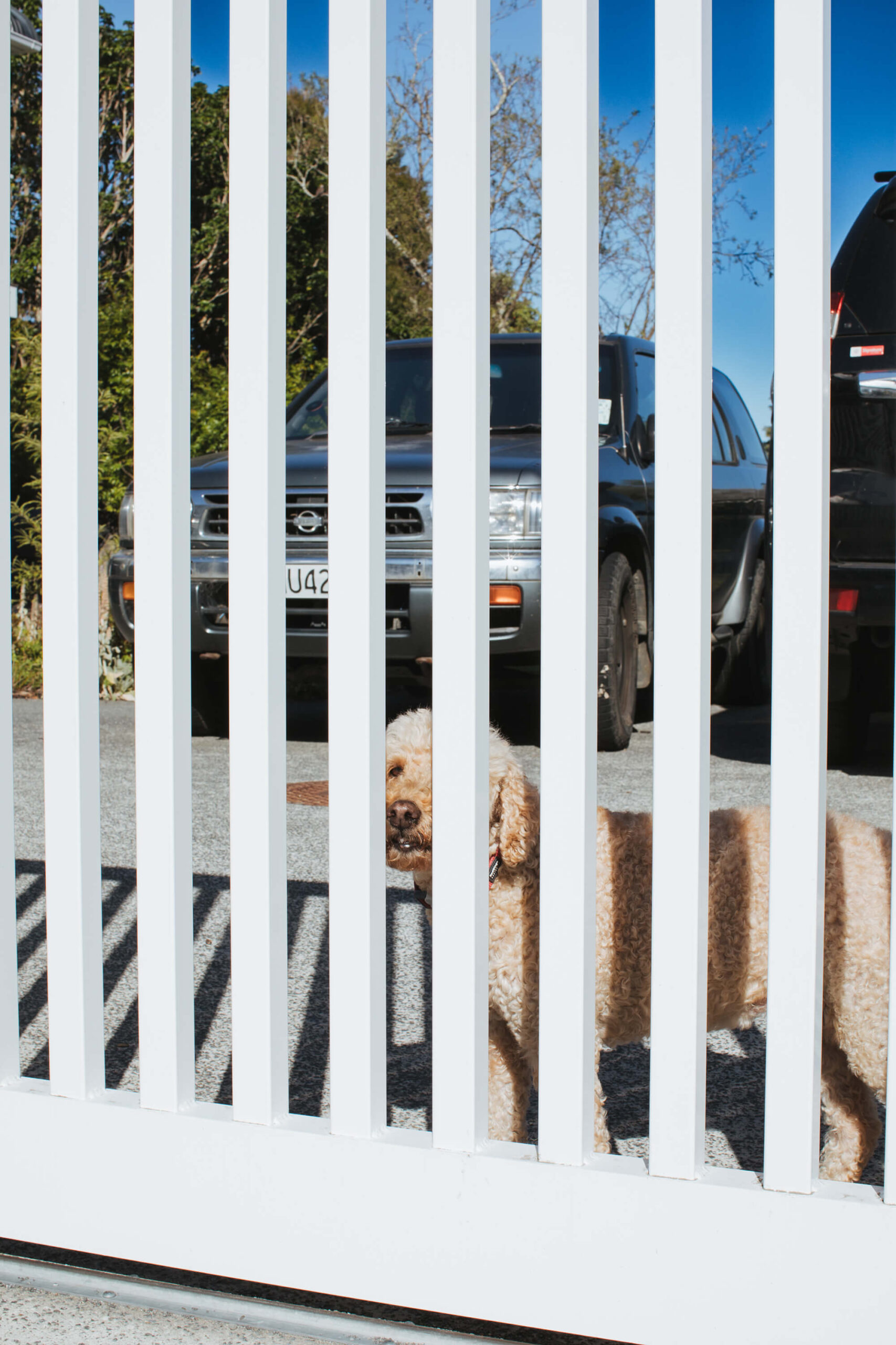 Gates_tub_classicii_02