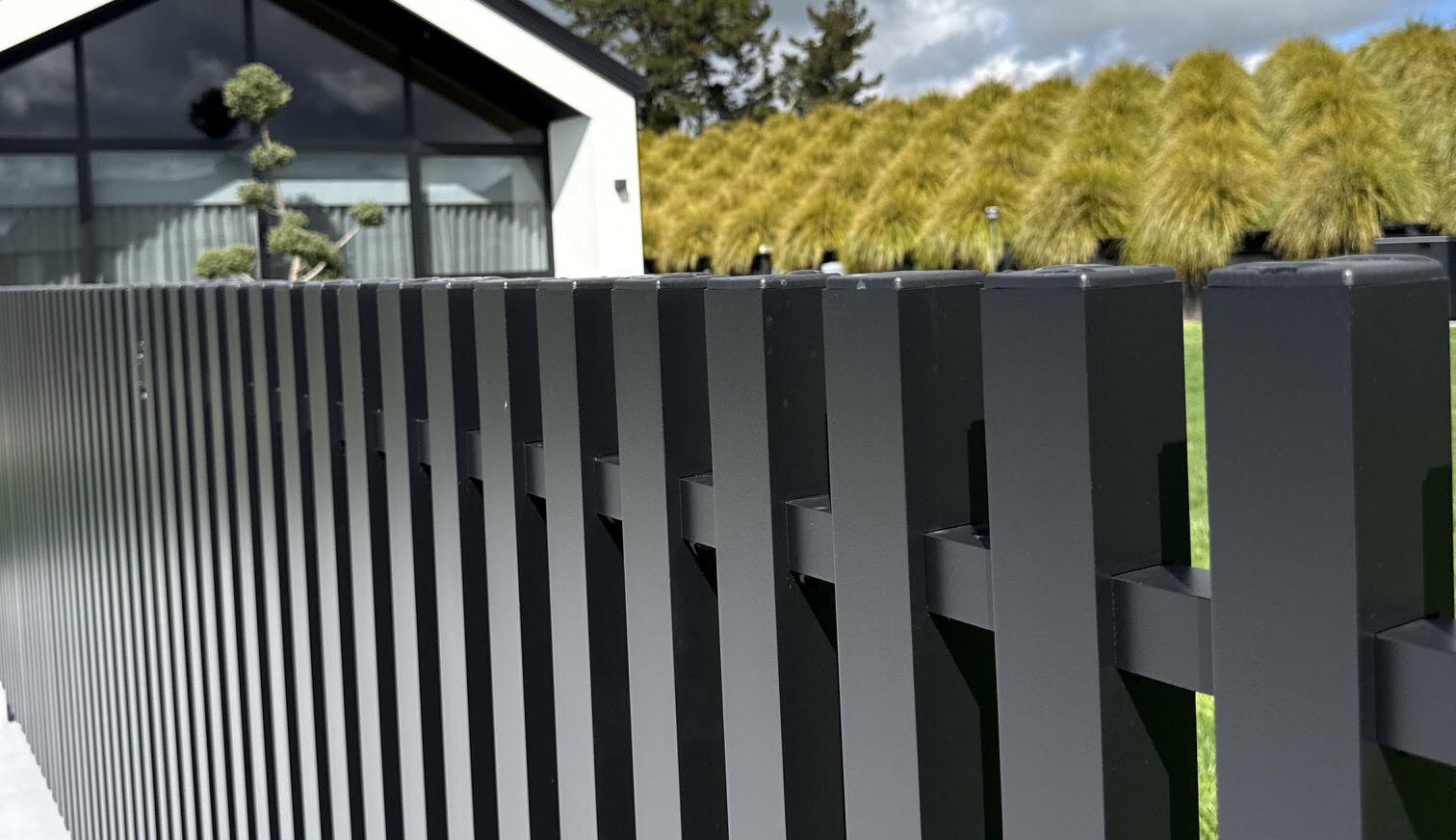 king-country-installation-4